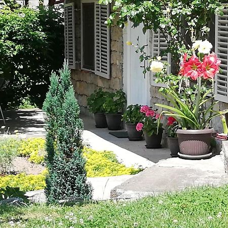 Apartment Jazz Golubac Dış mekan fotoğraf