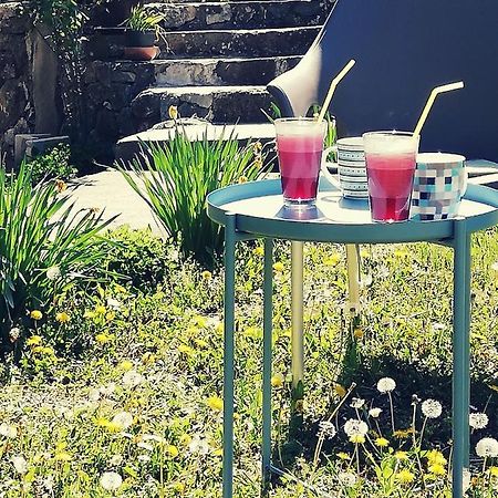 Apartment Jazz Golubac Dış mekan fotoğraf