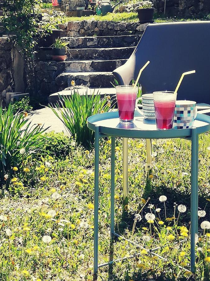 Apartment Jazz Golubac Dış mekan fotoğraf